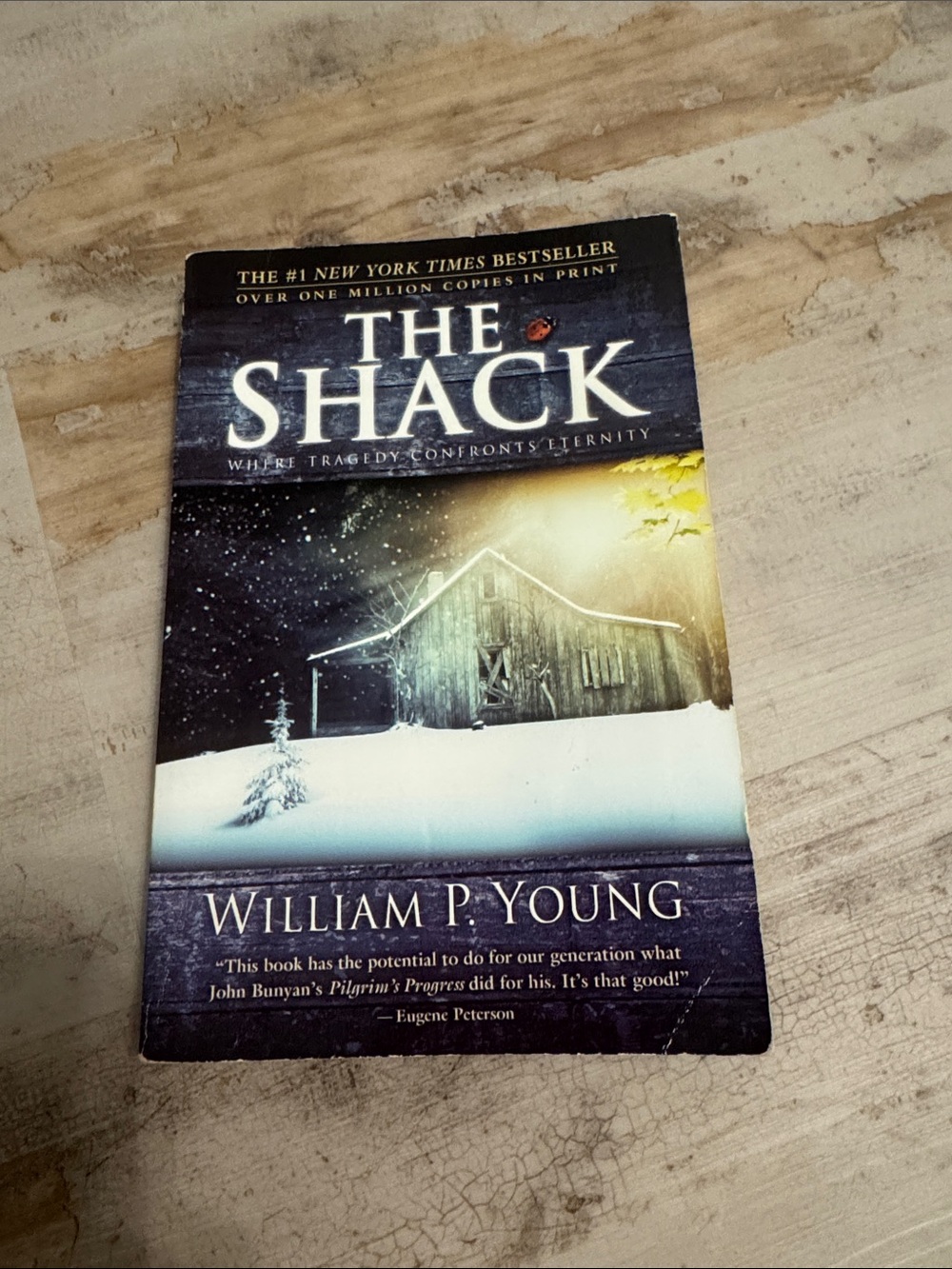 The Shack by William P. Young - Winter Cover
